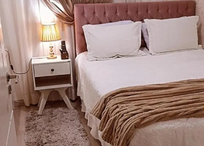 Apartamento Compartilhado Comigo Mais 2 Felinos